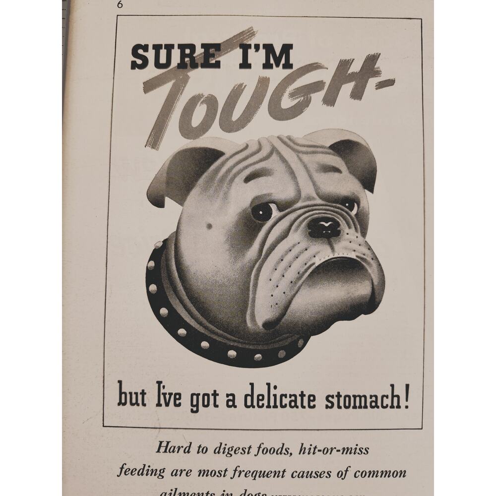 1941 Bulldog Tough but Delicate Stomach‎ Pard Dog Food Vintage Print Ad